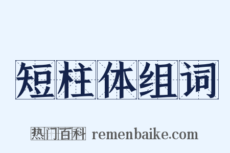 短柱体组词是什么意思的图片